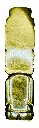 Design sans titre (2).webp