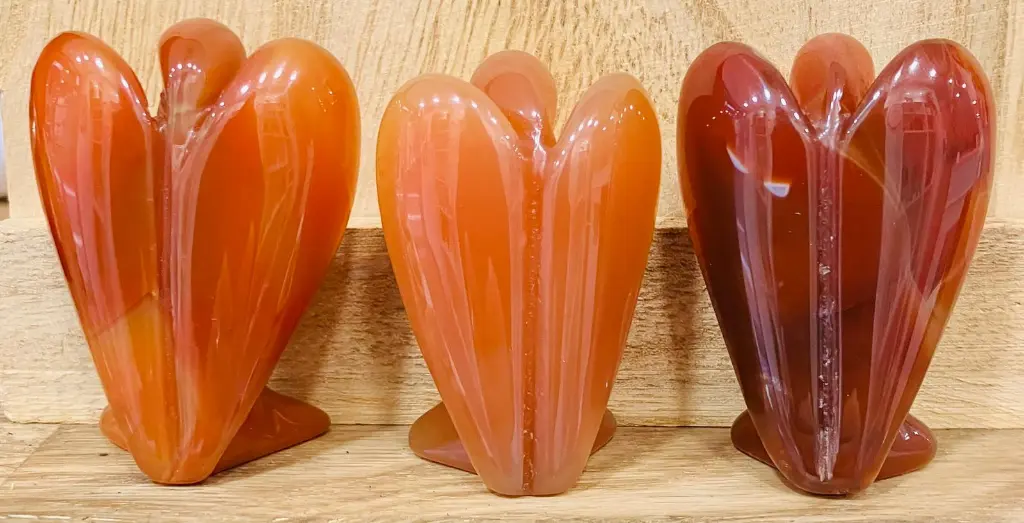 WhatsApp Image 2025-11-06 à 14.38.31_d052338b.webp