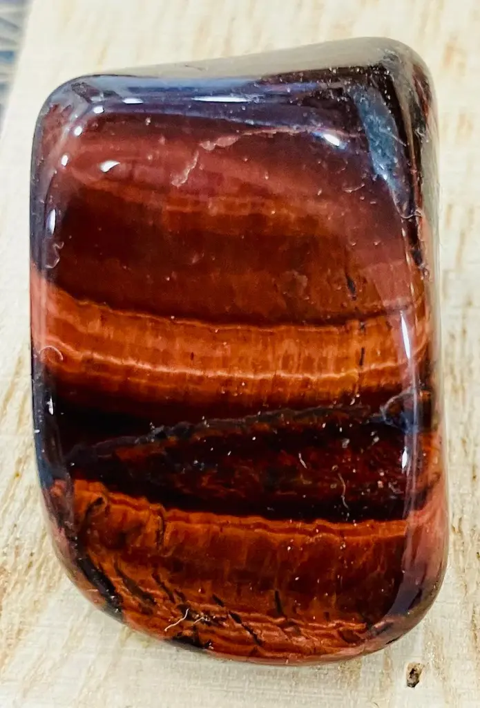 WhatsApp Image 2025-11-19 à 11.52.02_7ef1b0f2.webp