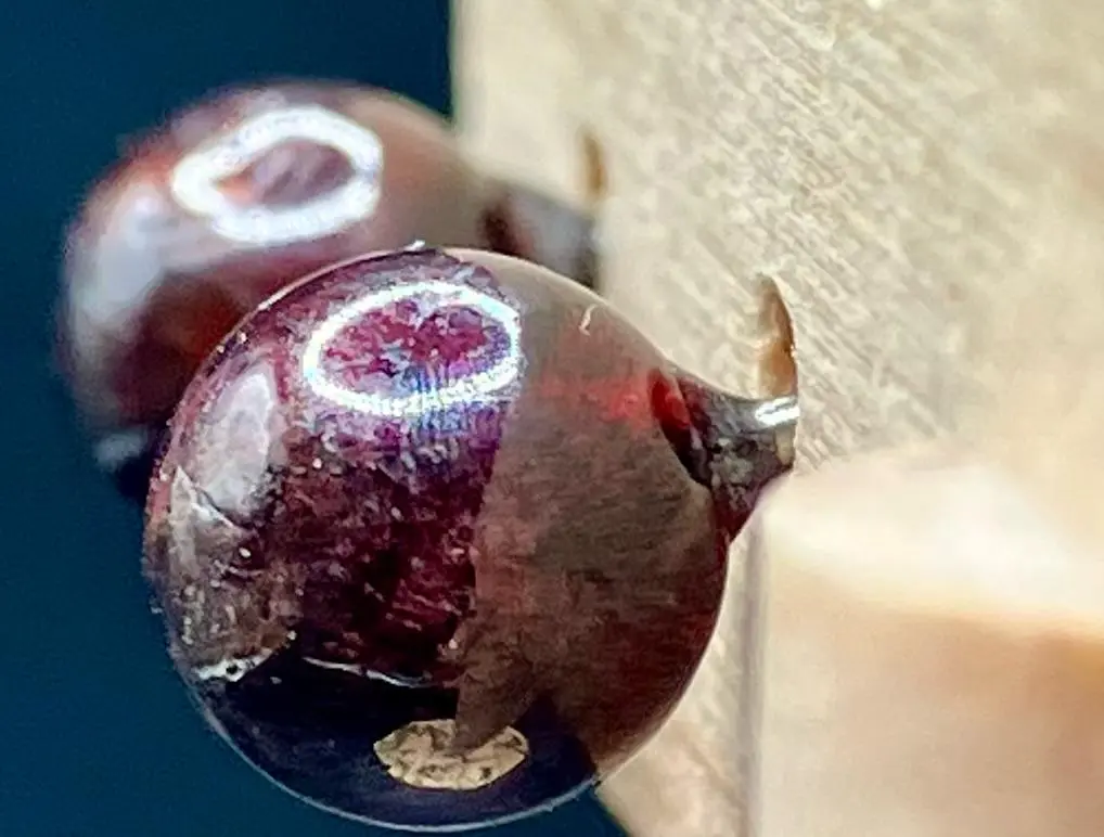 WhatsApp Image 2026-02-11 at 14.39.50.webp