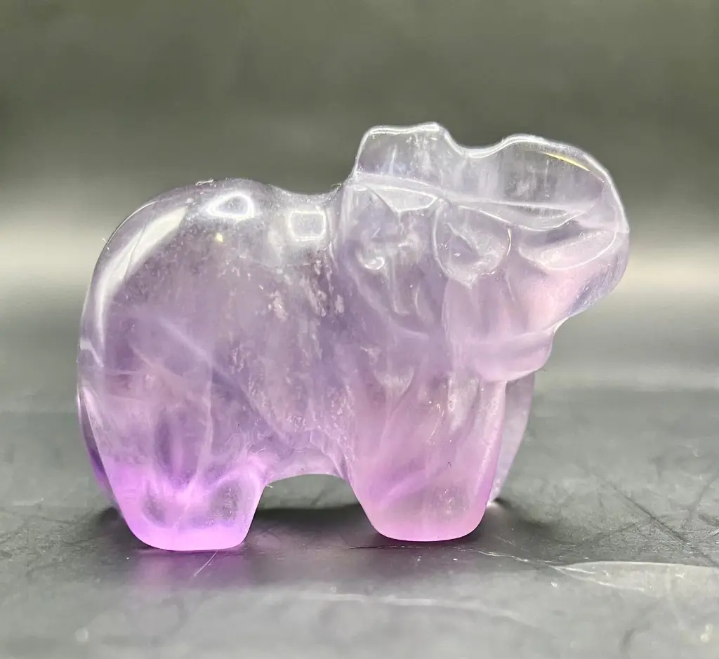 WhatsApp Image 2026-02-20 at 16.06.37.webp