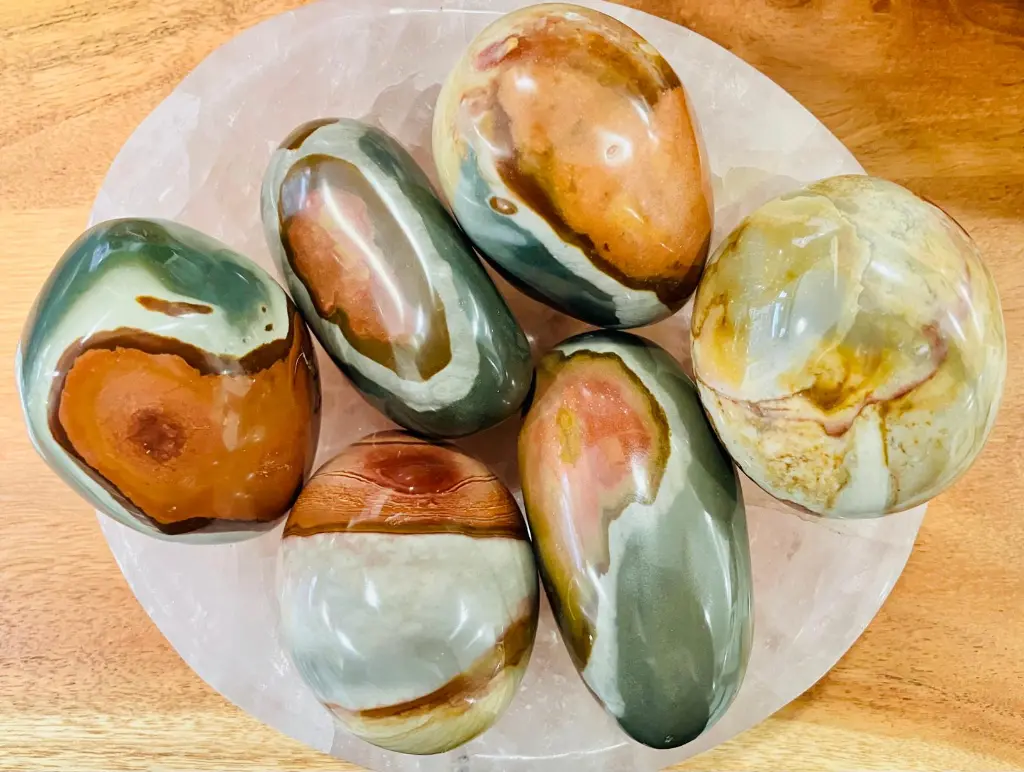 WhatsApp Image 2026-03-11 at 15.28.52.webp