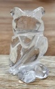 IMG_6470.jpg