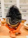 Œuf Septaria