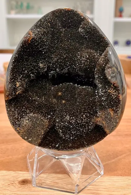 Œuf Septaria