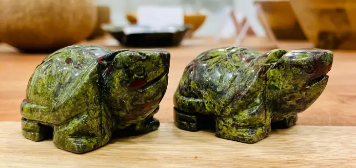 Tortue Jaspe Sang de Dragon