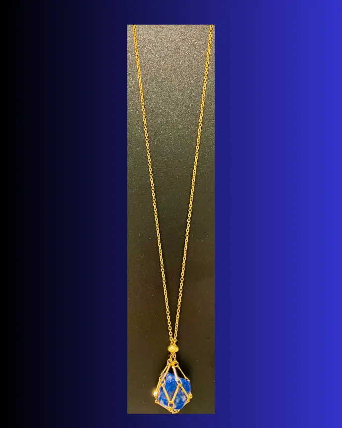 Collier Cage Interchangeable en Acier Inoxydable doré (50 cm)