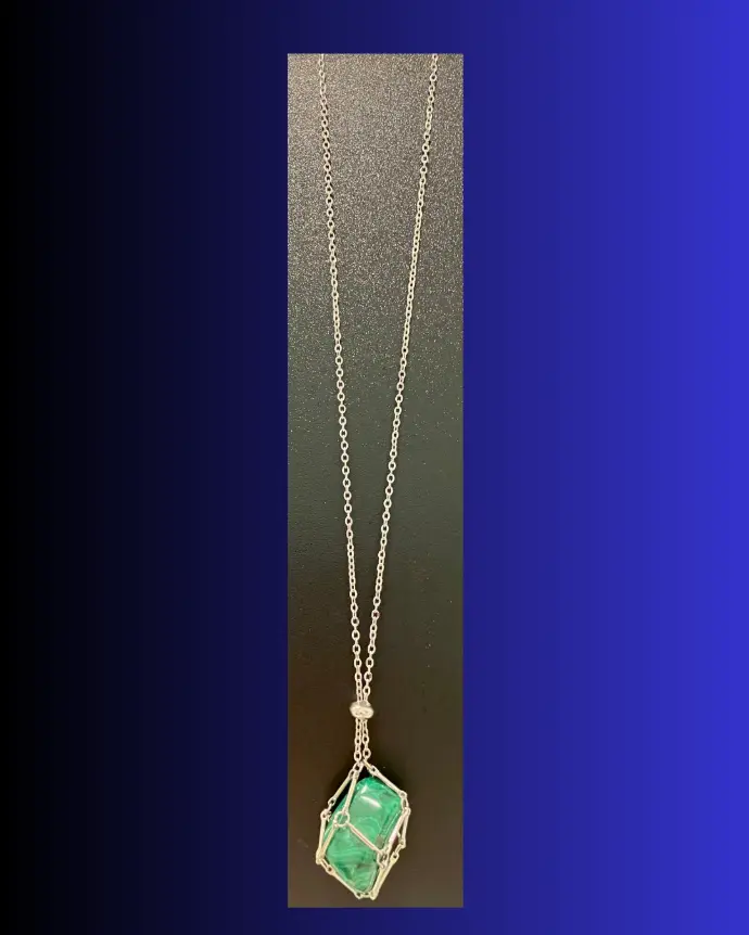 Collier Cage Interchangeable en Acier Inoxydable Argenté (50 cm)