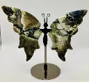 Papillon Agate grise avec socle