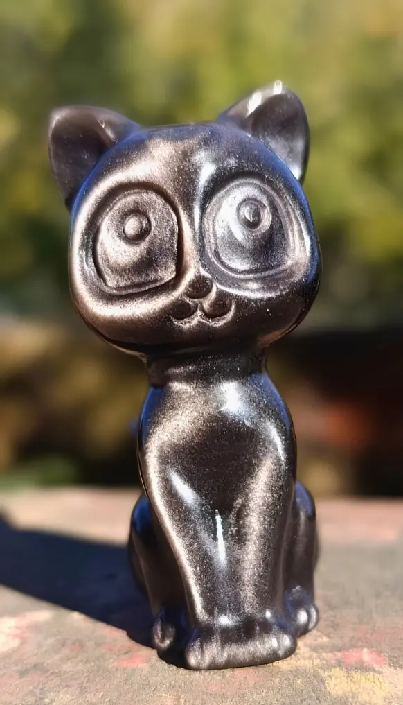 Chat Obsidienne Argentée