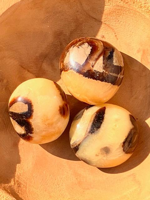 Galet de Septaria