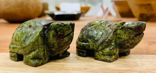 Tortue Jaspe Sang de Dragon