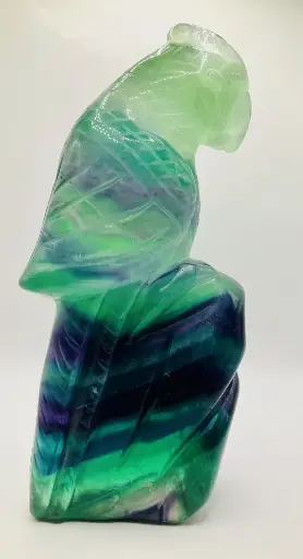 Oiseau Fluorine Rainbow (arc en ciel)