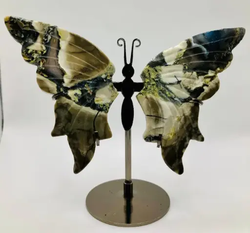 Papillon Agate grise avec socle