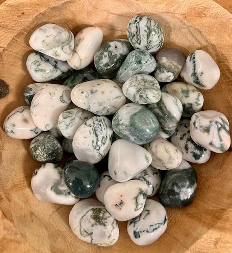 Pierres roulées Agate Arbre