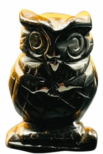 Chouette Œil de Tigre